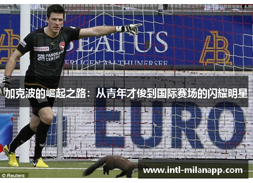 加克波的崛起之路：从青年才俊到国际赛场的闪耀明星